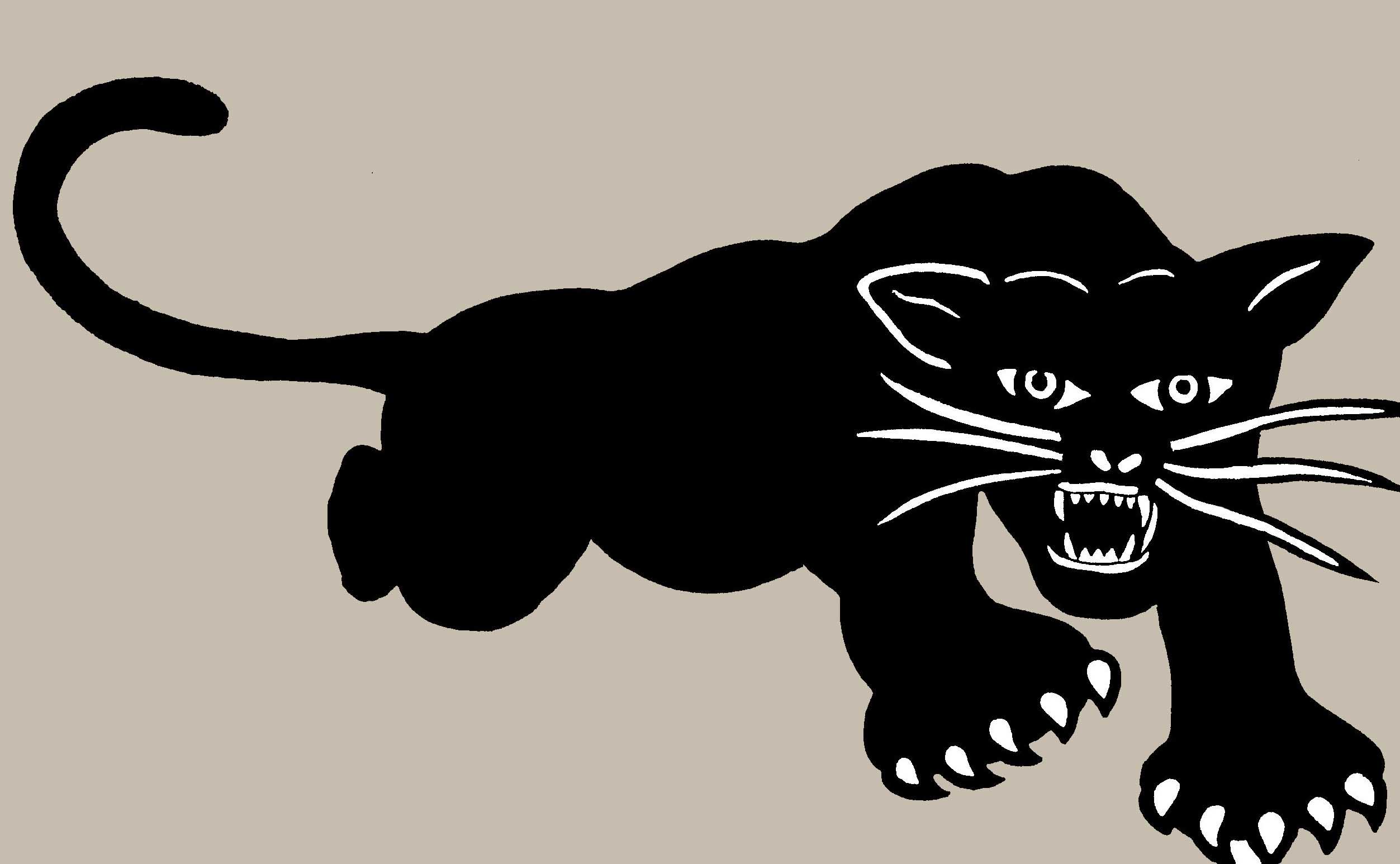 Black Panther Symbol