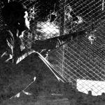 

Snipers quickly learned to stand back from the window when firing, making it very difficult for this young Guardsmen to pinpoint the telltale muzzle flash.