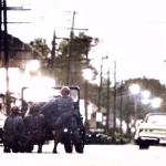 Prior to the U.S. Army's arrival on Tuesday morning, the Guardsmen had to canvas the entire city. Here they return fire on a sniper that has wreaked havoc on the East side off Mack Avenue. 